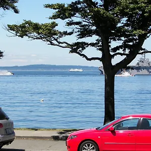 Alki Magpie Seattle